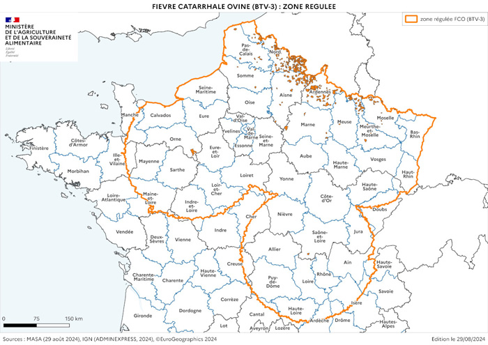 carte FCO ovins 29 08 2024